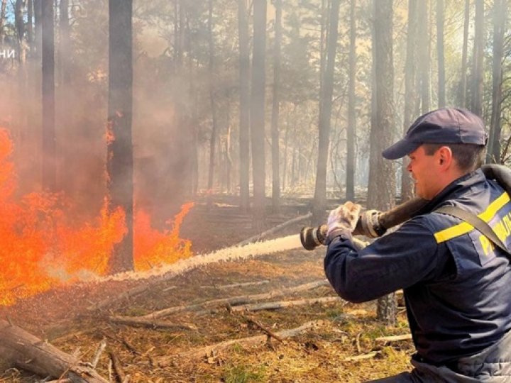 Волинь серед регіонів з набільшою площею пожеж в екосистемах