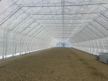 На Волині запрацюють лісонасіннєві заводи. ФОТО