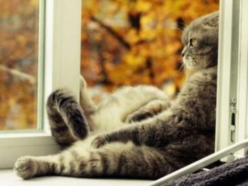 Погода в Луцьку та Волинській області на вихідні, 3 і 4 жовтня