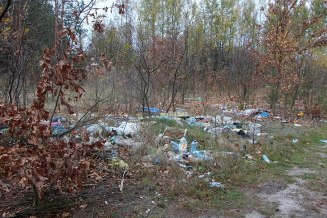 У селищі на Волині невідомі викидають сміття у лісі. ФОТО