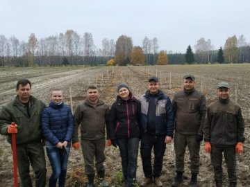 Груші, абрикоси та персики: у лісгоспі на Волині висадили фруктовий сад. ФОТО