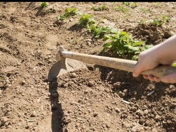 Волинянин побив сапою односельця 