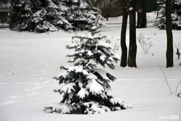 Фото снігового ранку в Луцьку