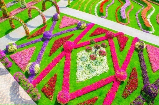 Неймовірної краси кольоровий диво-сад. ФОТО