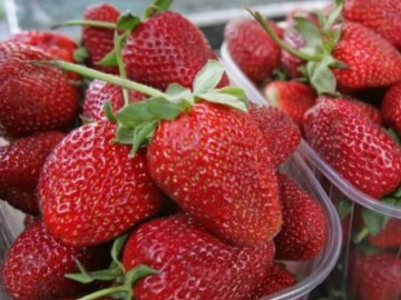 Скільки коштує перша полуниця на луцьких ринках