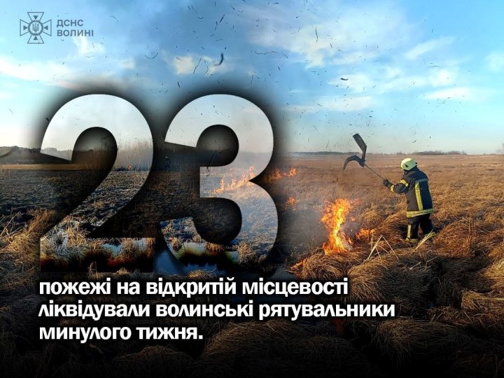 Пожежі сухої трави на Волині протягом тижня охопили 16 гектарів, - ДСНС