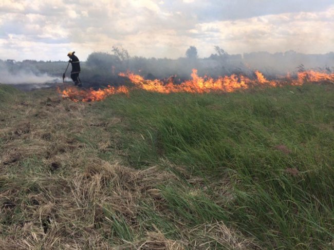 Через паліїв сміття на Волині вигоріло три гектари поля
