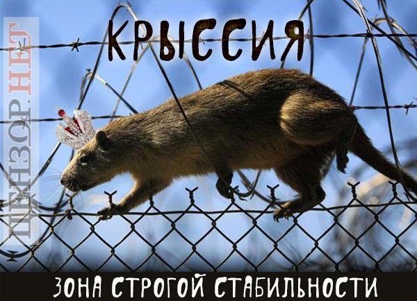 «Письменник» Микола Азаров та «стабільність» в Росії. ФОТОЖАБИ