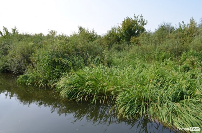 Стир судноплавний, або Подорож луцькою Амазонкою. ФОТО