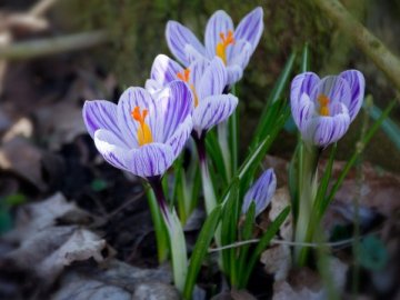 Погода у Луцьку на завтра, 31 березня