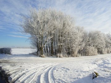 Погода в Луцьку та Волинській області на завтра, 25 січня