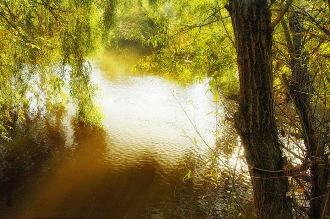 Автор фото - Олег Бурлака