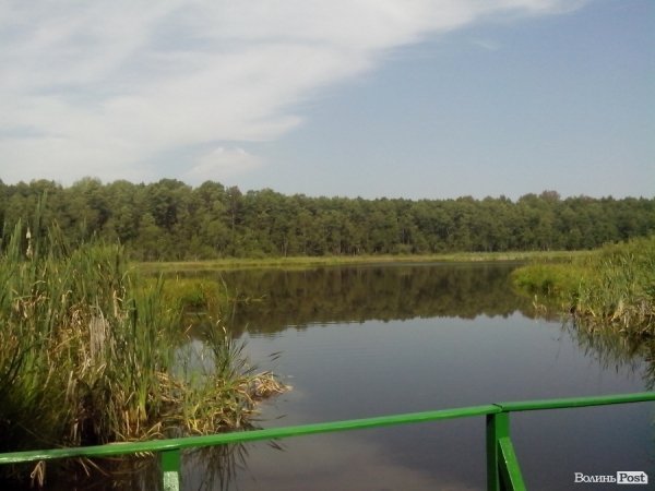 У Нечимному відбувся поетично-мистецький фестиваль. ФОТО