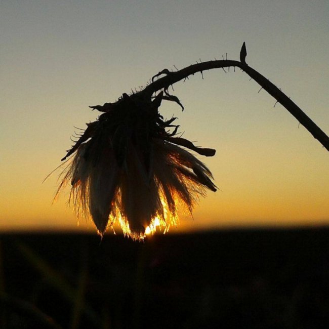 Краса волинської зими. ФОТО