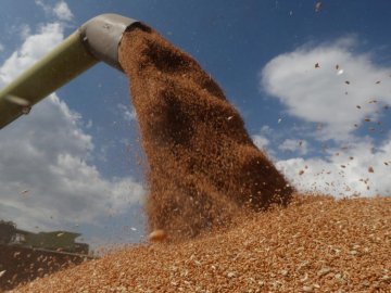 Делегації України, Росії, Туреччини та ООН зустрінуться в Стамбулі щодо розблокування зерна