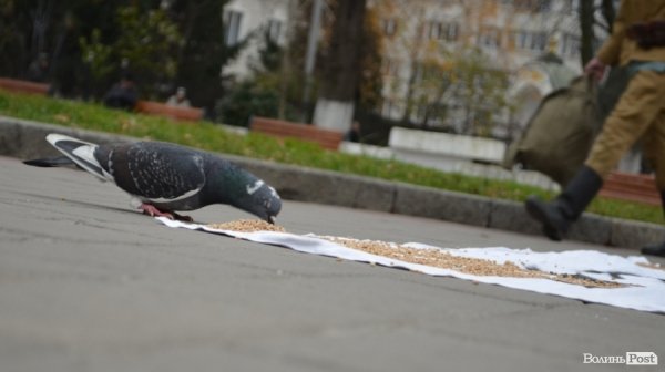 «НКВДисти-охоронці хліба» в Луцьку нагадують про голодомор. ФОТО 