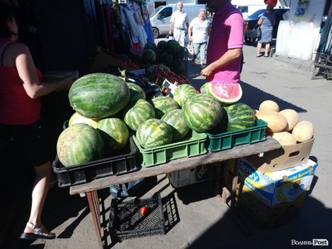 Кавуни на ринку Луцька: чому так дорого і чи буде дешевше. ФОТО