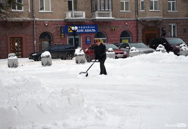 Волинський губернатор знайшов у Луцьку хвойний ліс