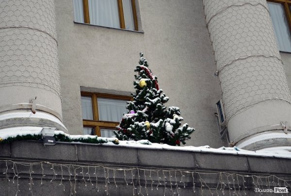 Волинський губернатор знайшов у Луцьку хвойний ліс