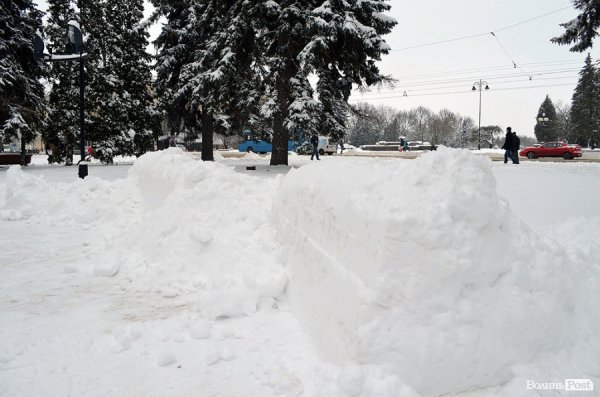 Волинський губернатор знайшов у Луцьку хвойний ліс