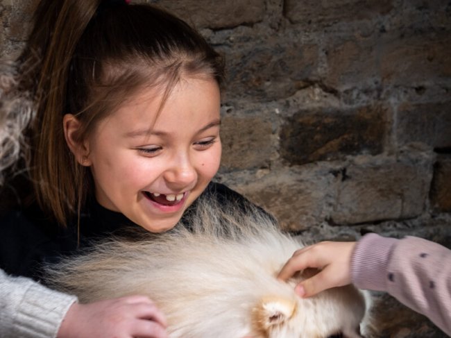 Як у Луцьку працювала резиденція святого Миколая в укритті