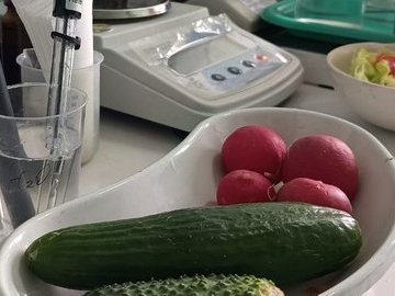 Овочі на ринках Луцька перевірили на вміст нітратів. ВІДЕО