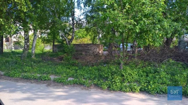 Петро киває на Івана: у Нововолинську місяцями не можуть вивезти гілки