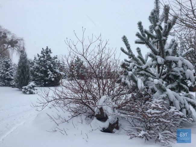 Нововолинськ у полоні зими: як комунальники чистять дороги. ФОТО