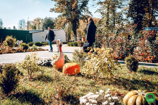 Жовтогаряча осінь у Луцькому зоопарку. ФОТО