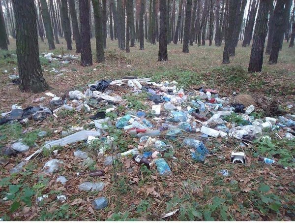 На півдні Ківерців – узлісся-смітник