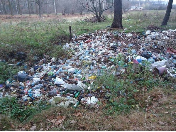 На півдні Ківерців – узлісся-смітник