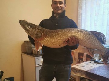 На Волині чоловік упіймав гігантську щуку. ФОТО