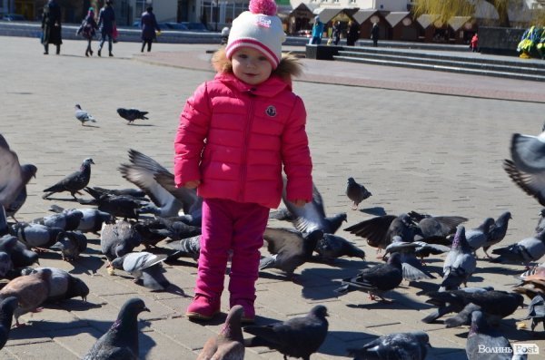 Луцьк напередодні вихідних. ФОТОРЕПОРТАЖ