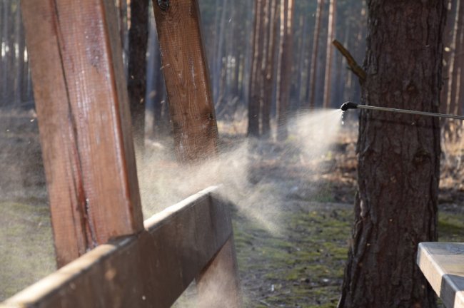 Розповіли, як працюють волинські лісівники в умовах карантину