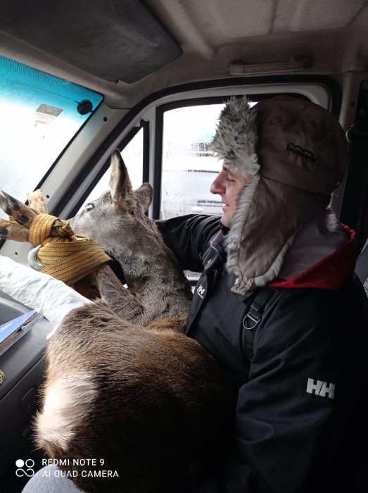 Волинські муніципали шукали зниклого чоловіка, а знайшли козлика в капкані. ФОТО