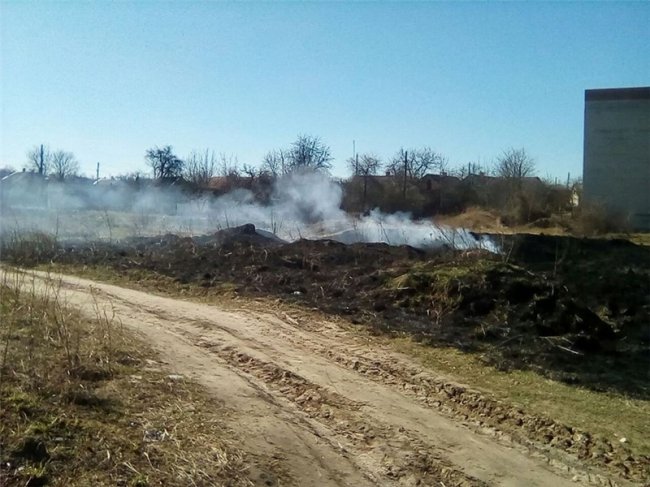 У Нововолинську невідомі влаштували пожежу біля трансформаторної будки. ФОТО