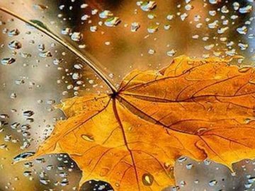 Погода в Луцьку та Волинській області на четвер, 7 листопада