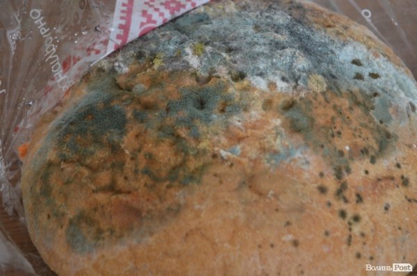 Теремнохліб