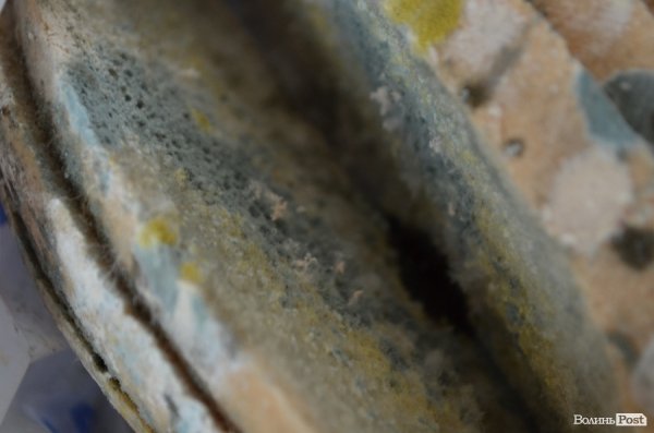 Волиньторгхліб