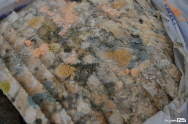 Волиньторгхліб