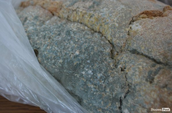 Хліб, який випікає магазин «Салют»