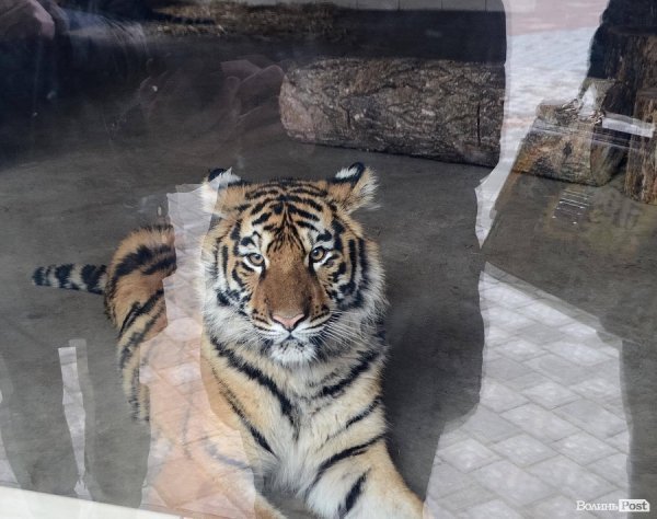 Луцькі депутати «скинуться» на зоопарк. ФОТО