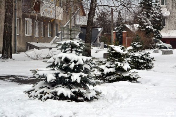 Фото снігового ранку в Луцьку