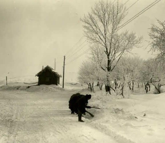  Село Павловичі, 1914-1918 рр.