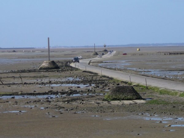 Дорога, яка тоне два рази на добу. ФОТО