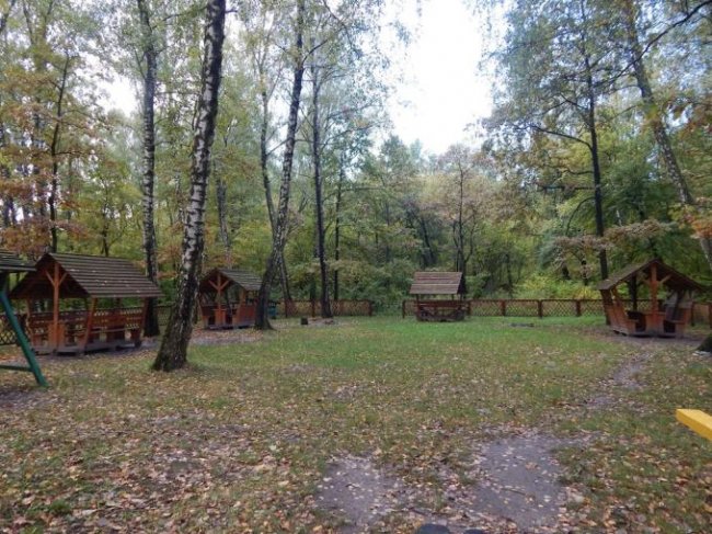 Атмосферні осінні світлини лісових рекреаційних зон на Волині. ФОТО