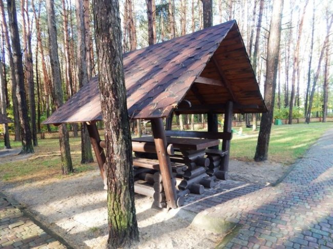 Атмосферні осінні світлини лісових рекреаційних зон на Волині. ФОТО