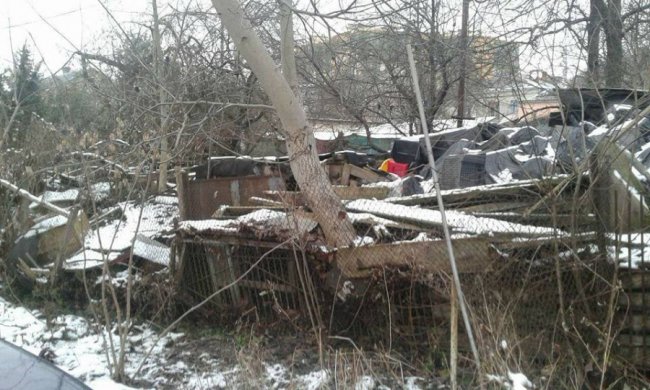 Лучанин завалив мотлохом двір. ФОТО