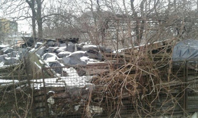 Лучанин завалив мотлохом двір. ФОТО