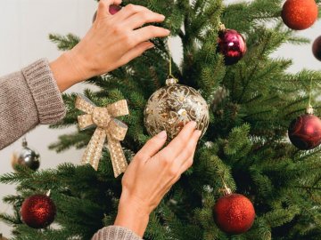 У Ковелі новорічні ялинки можна здати на переробку